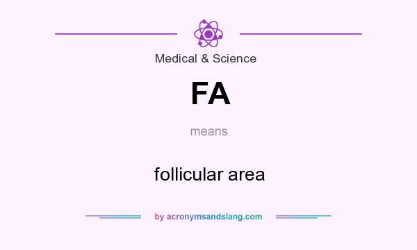 What does FA mean? It stands for follicular area