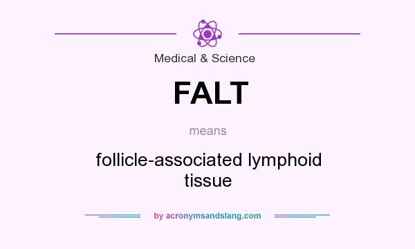 What does FALT mean? It stands for follicle-associated lymphoid tissue