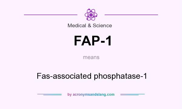 What does FAP-1 mean? It stands for Fas-associated phosphatase-1