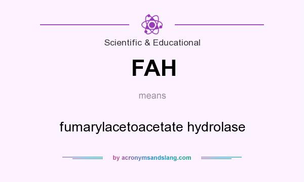 What does FAH mean? It stands for fumarylacetoacetate hydrolase