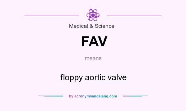 What does FAV mean? It stands for floppy aortic valve