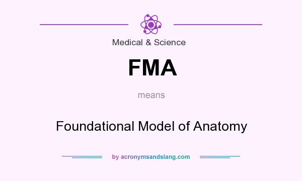 What does FMA mean? It stands for Foundational Model of Anatomy