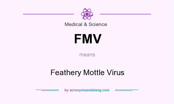 What does FMV mean? It stands for Feathery Mottle Virus