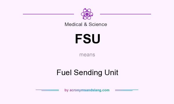 What does FSU mean? It stands for Fuel Sending Unit