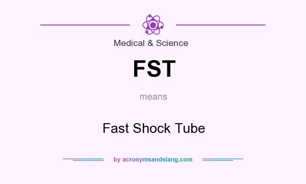 What does FST mean? It stands for Fast Shock Tube
