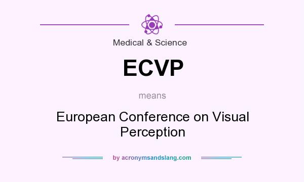 What does ECVP mean? It stands for European Conference on Visual Perception