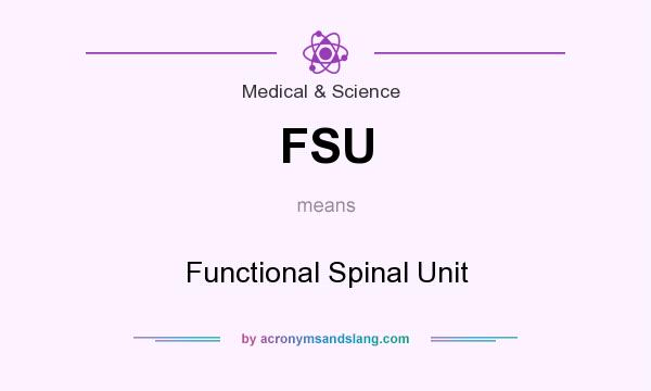 What does FSU mean? It stands for Functional Spinal Unit