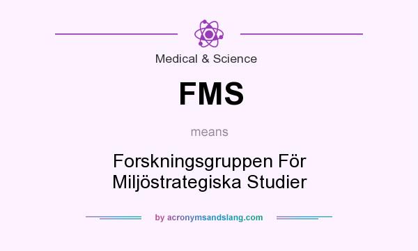 What does FMS mean? It stands for Forskningsgruppen För Miljöstrategiska Studier