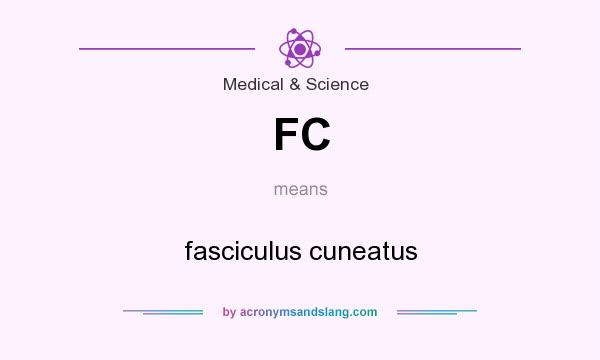 What does FC mean? It stands for fasciculus cuneatus