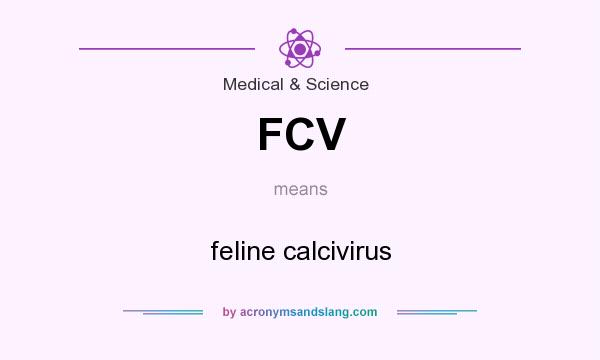 What does FCV mean? It stands for feline calcivirus