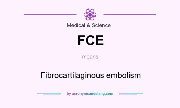 What does FCE mean? It stands for Fibrocartilaginous embolism