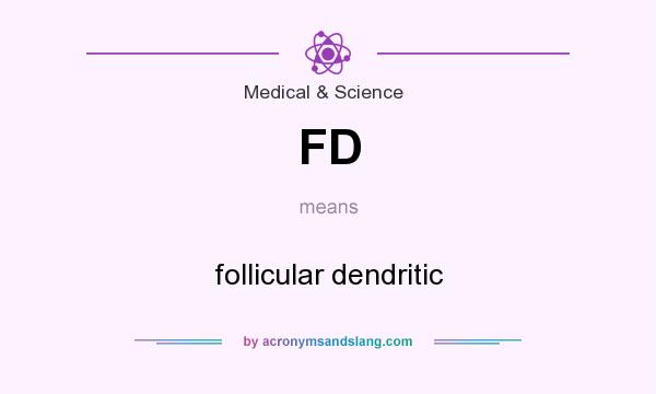 What does FD mean? It stands for follicular dendritic