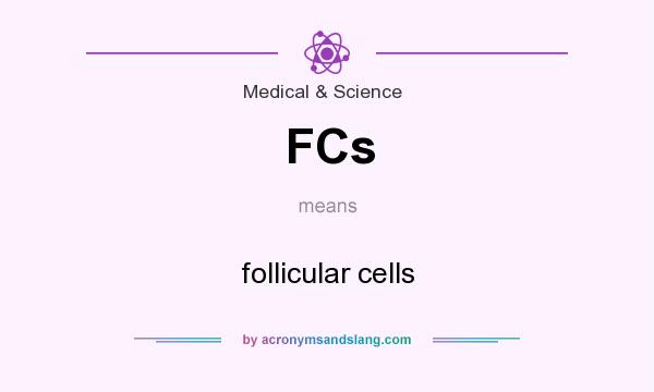What does FCs mean? It stands for follicular cells