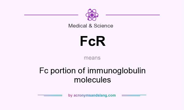 What does FcR mean? It stands for Fc portion of immunoglobulin molecules