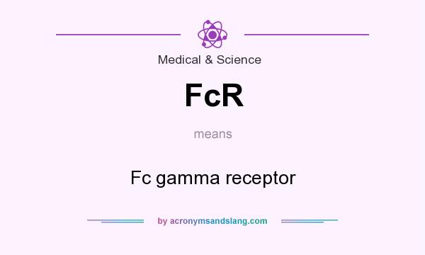 What does FcR mean? It stands for Fc gamma receptor