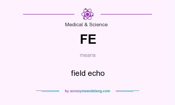What does FE mean? It stands for field echo