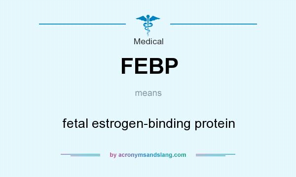 What does FEBP mean? It stands for fetal estrogen-binding protein