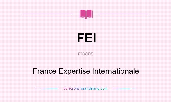 What does FEI mean? It stands for France Expertise Internationale