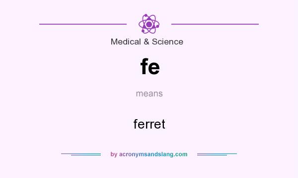 What does fe mean? It stands for ferret