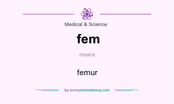 What does fem mean? It stands for femur