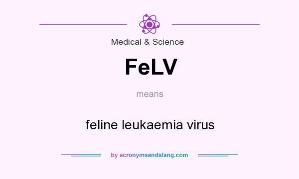 What does FeLV mean? It stands for feline leukaemia virus