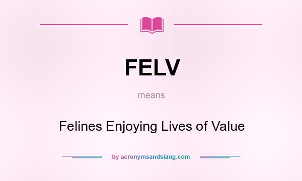 What does FELV mean? It stands for Felines Enjoying Lives of Value