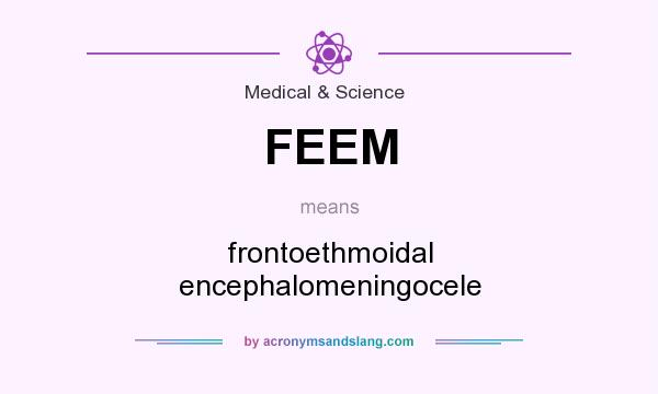 What does FEEM mean? It stands for frontoethmoidal encephalomeningocele