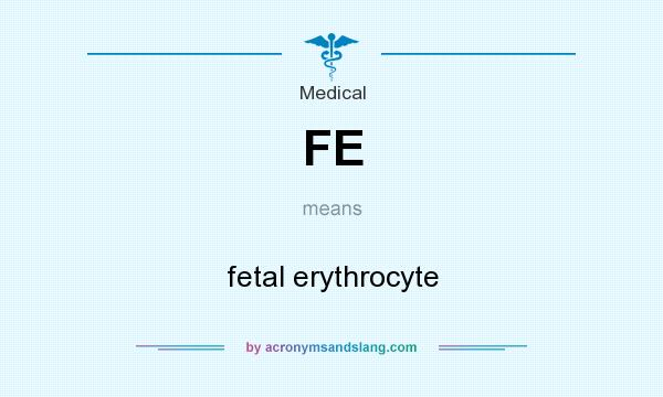 What does FE mean? It stands for fetal erythrocyte