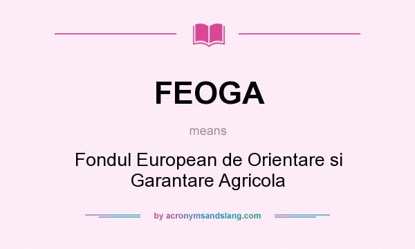 What does FEOGA mean? It stands for Fondul European de Orientare si Garantare Agricola