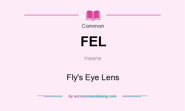 What does FEL mean? It stands for Fly`s Eye Lens