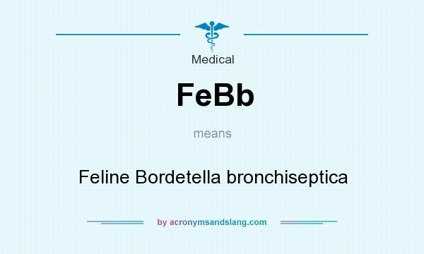 What does FeBb mean? It stands for Feline Bordetella bronchiseptica