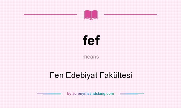 What does fef mean? It stands for Fen Edebiyat Fakültesi