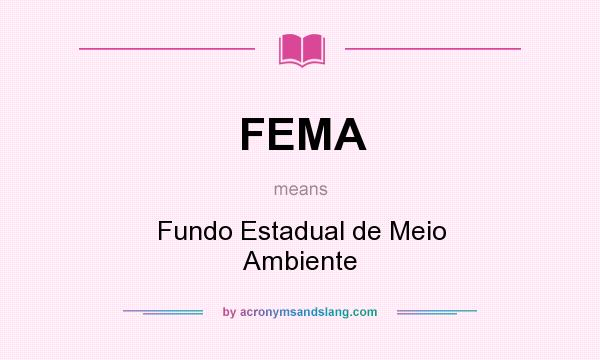 What does FEMA mean? It stands for Fundo Estadual de Meio Ambiente