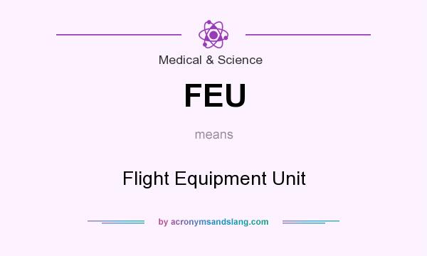 What does FEU mean? It stands for Flight Equipment Unit