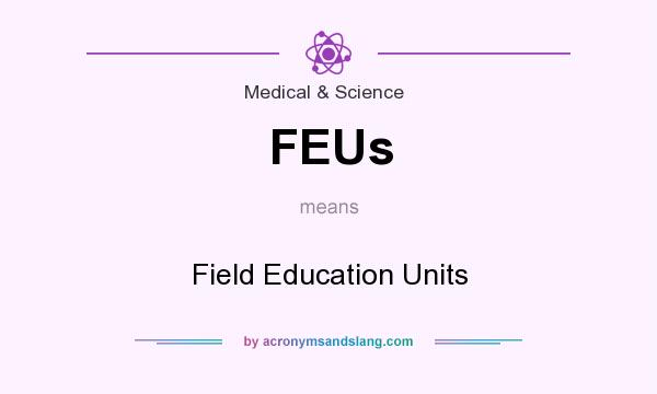 What does FEUs mean? It stands for Field Education Units