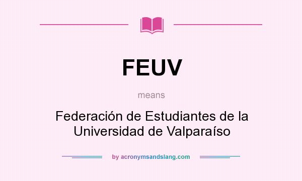 What does FEUV mean? It stands for Federación de Estudiantes de la Universidad de Valparaíso