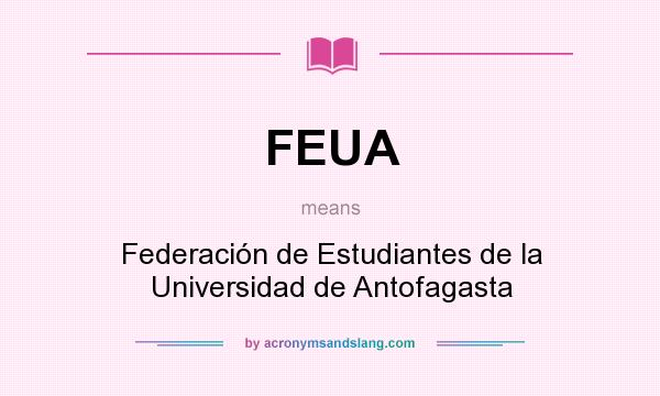 What does FEUA mean? It stands for Federación de Estudiantes de la Universidad de Antofagasta