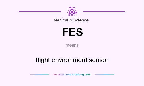 What does FES mean? It stands for flight environment sensor
