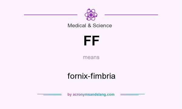 What does FF mean? It stands for fornix-fimbria
