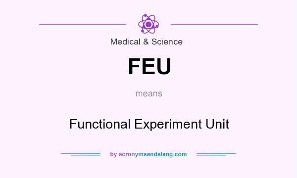 What does FEU mean? It stands for Functional Experiment Unit
