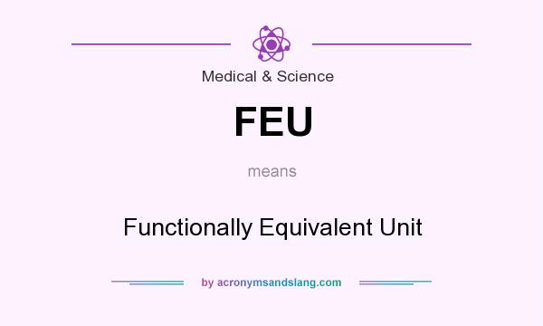 What does FEU mean? It stands for Functionally Equivalent Unit