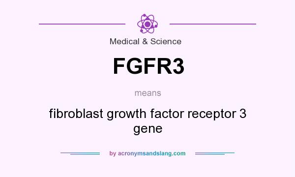 What does FGFR3 mean? It stands for fibroblast growth factor receptor 3 gene