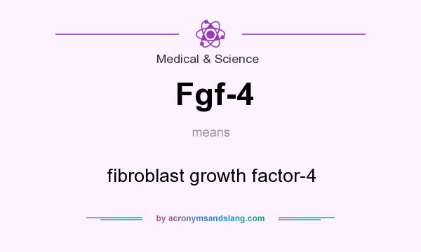 What does Fgf-4 mean? It stands for fibroblast growth factor-4