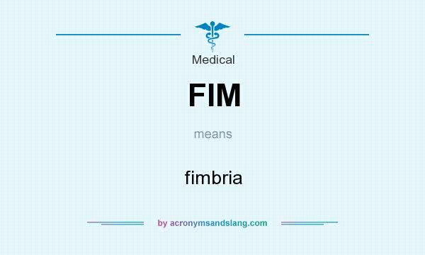 What does FIM mean? It stands for fimbria