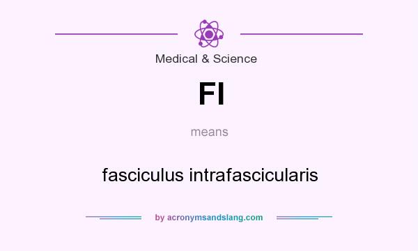 What does FI mean? It stands for fasciculus intrafascicularis