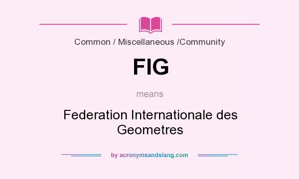 What does FIG mean? It stands for Federation Internationale des Geometres
