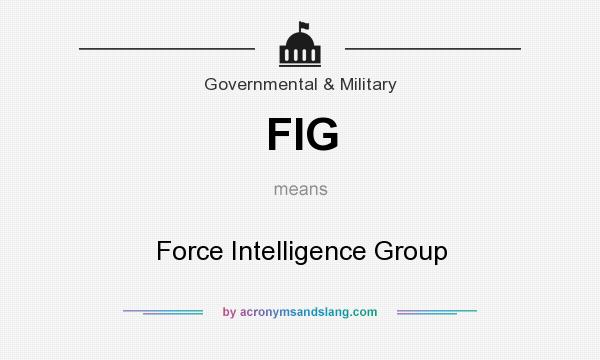 What does FIG mean? It stands for Force Intelligence Group