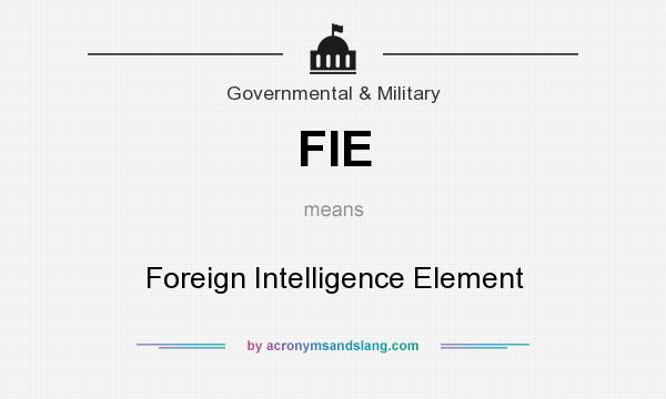 What does FIE mean? It stands for Foreign Intelligence Element