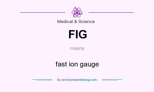 What does FIG mean? It stands for fast ion gauge