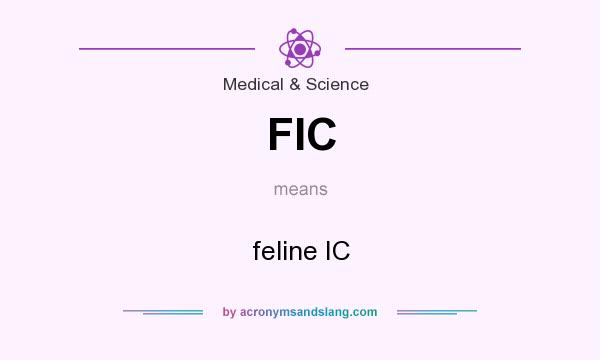 What does FIC mean? It stands for feline IC